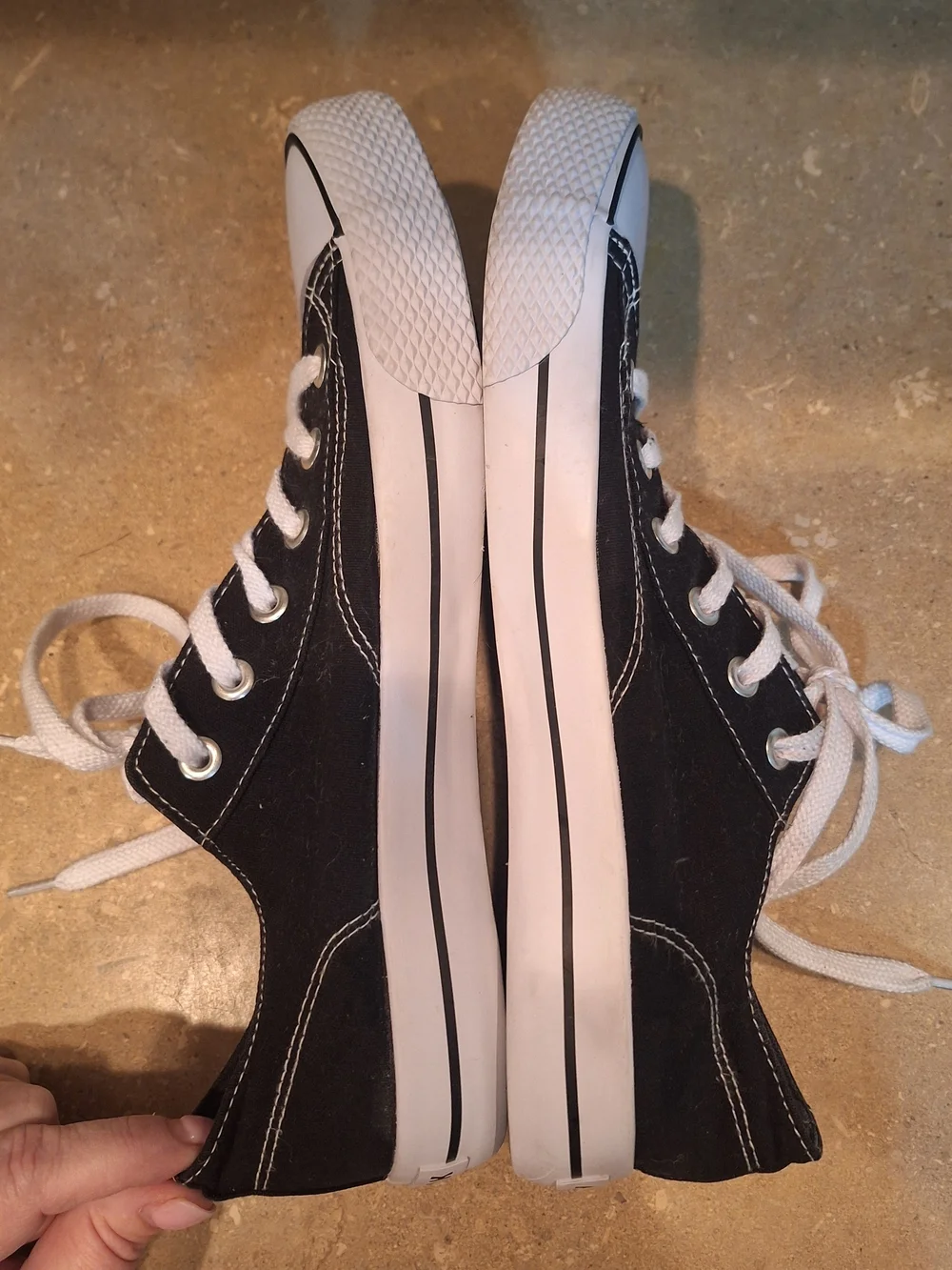 Mens Airwalk Canvas Low-Top Sneakers